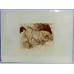 Two Etchings by Guillaume Azoulay Two Etchings by Guillaume Azoulay