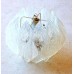 Lucite Chandelier Lucite Chandelier