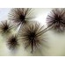 Urchin Wall Sculpture by Curtis Jeré for Artisan House Urchin Wall Sculpture by Curtis Jeré for Artisan House