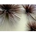 Urchin Wall Sculpture by Curtis Jeré for Artisan House Urchin Wall Sculpture by Curtis Jeré for Artisan House