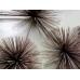 Urchin Wall Sculpture by Curtis Jeré for Artisan House Urchin Wall Sculpture by Curtis Jeré for Artisan House