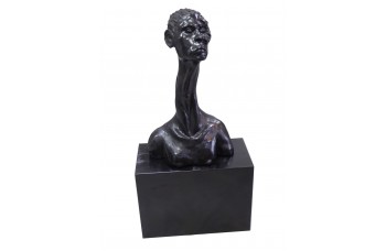 Sculpture by Nicholas Nehaniv Sculpture by Nicholas Nehaniv