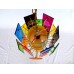 Rainbow Lucite Swag Lamp